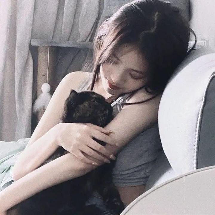 北极征熊记 在线观看